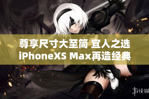 尊享尺寸大至简 宜人之选iPhoneXS Max再造经典