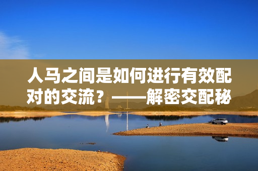 人马之间是如何进行有效配对的交流？——解密交配秘诀