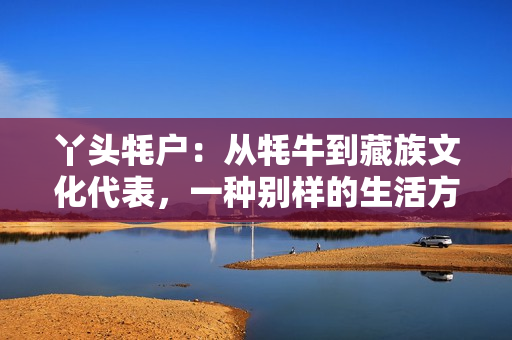 丫头牦户：从牦牛到藏族文化代表，一种别样的生活方式与文化传承