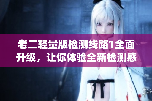 老二轻量版检测线路1全面升级，让你体验全新检测感受(1)