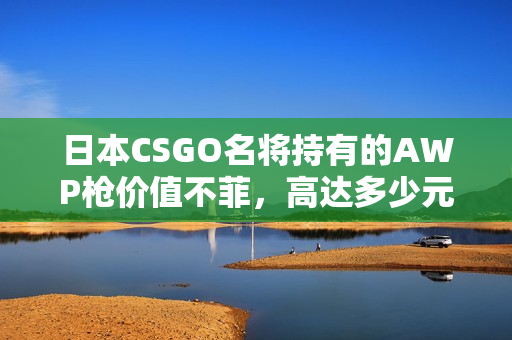 日本CSGO名将持有的AWP枪价值不菲，高达多少元？