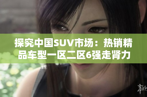 探究中国SUV市场：热销精品车型一区二区6强走肾力MAX