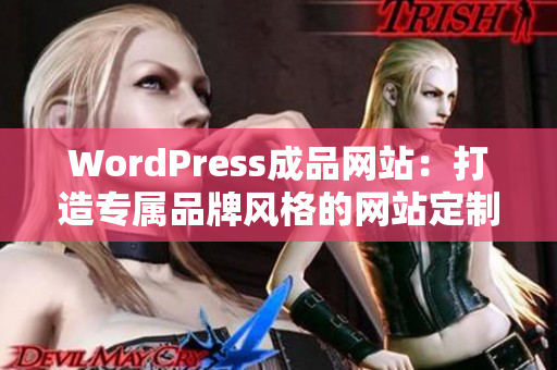 WordPress成品网站：打造专属品牌风格的网站定制服务