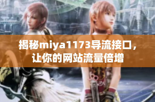 揭秘miya1173导流接口，让你的网站流量倍增