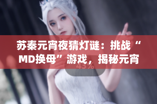 苏秦元宵夜猜灯谜：挑战“MD换母”游戏，揭秘元宵节文化传统(1)