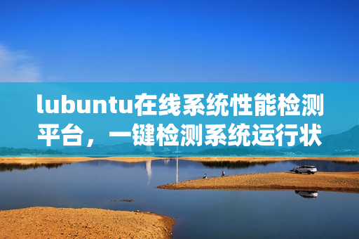 lubuntu在线系统性能检测平台，一键检测系统运行状态