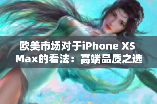 欧美市场对于iPhone XS Max的看法：高端品质之选