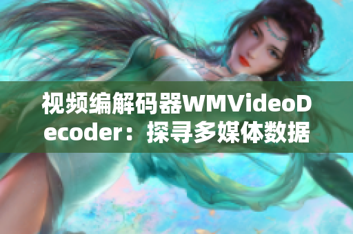 视频编解码器WMVideoDecoder：探寻多媒体数据处理技术