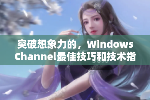 突破想象力的，WindowsChannel最佳技巧和技术指南