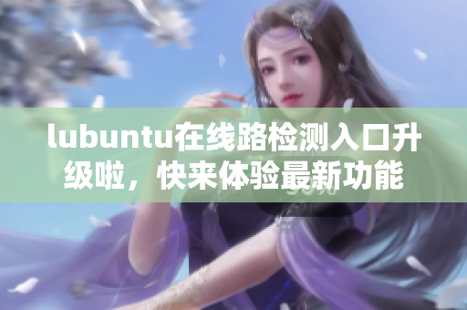 lubuntu在线路检测入口升级啦，快来体验最新功能