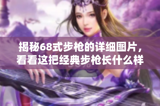 揭秘68式步枪的详细图片，看看这把经典步枪长什么样！