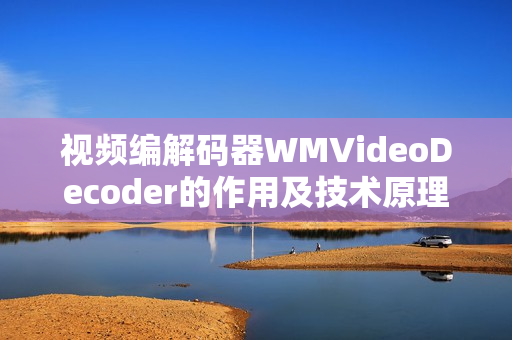 视频编解码器WMVideoDecoder的作用及技术原理