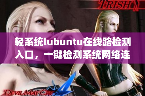 轻系统lubuntu在线路检测入口，一键检测系统网络连接(1)