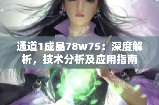 通道1成品78w75：深度解析，技术分析及应用指南