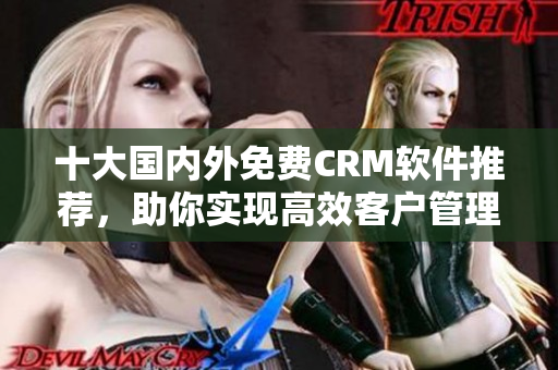 十大国内外免费CRM软件推荐，助你实现高效客户管理