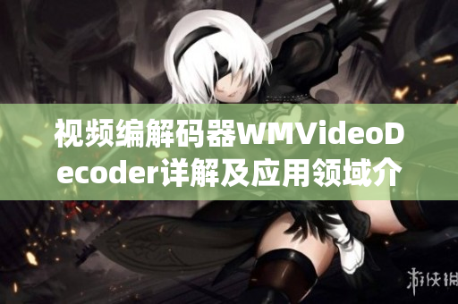 视频编解码器WMVideoDecoder详解及应用领域介绍(1)