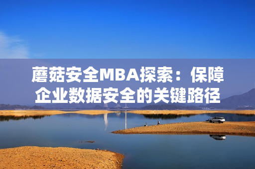 蘑菇安全MBA探索：保障企业数据安全的关键路径