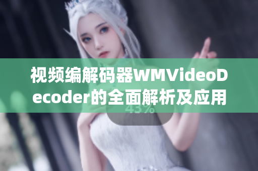 视频编解码器WMVideoDecoder的全面解析及应用指南(1)