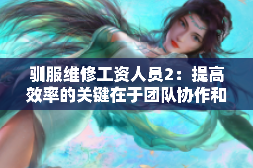驯服维修工资人员2：提高效率的关键在于团队协作和技能培训