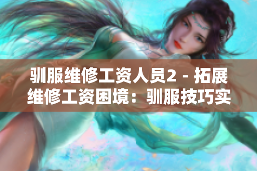 驯服维修工资人员2 - 拓展维修工资困境：驯服技巧实战分享