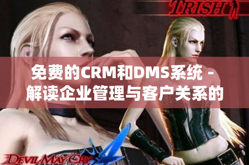 免费的CRM和DMS系统 - 解读企业管理与客户关系的新趋势