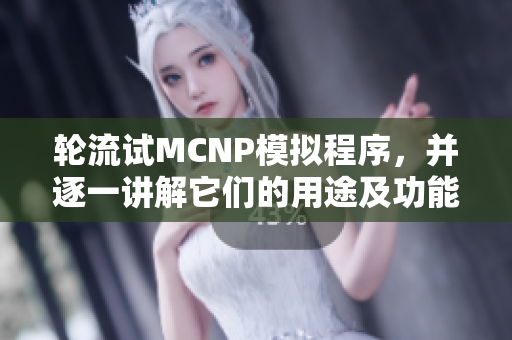 轮流试MCNP模拟程序，并逐一讲解它们的用途及功能