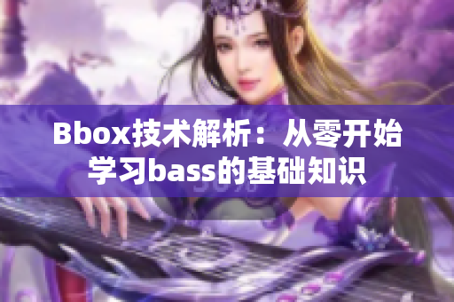 Bbox技术解析：从零开始学习bass的基础知识