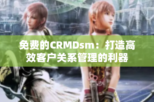 免费的CRMDsm：打造高效客户关系管理的利器