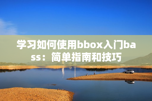 学习如何使用bbox入门bass：简单指南和技巧