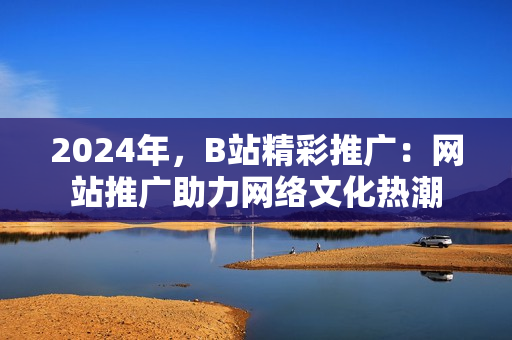 2024年，B站精彩推广：网站推广助力网络文化热潮