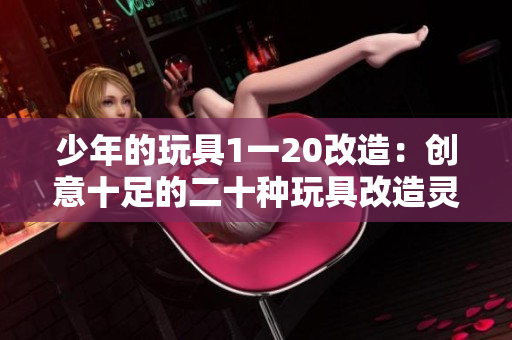 少年的玩具1一20改造：创意十足的二十种玩具改造灵感