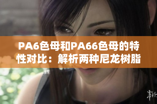 PA6色母和PA66色母的特性对比：解析两种尼龙树脂色母的异同