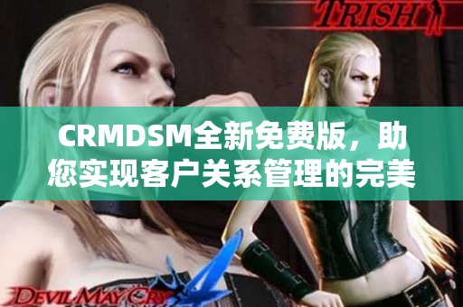 CRMDSM全新免费版，助您实现客户关系管理的完美升级