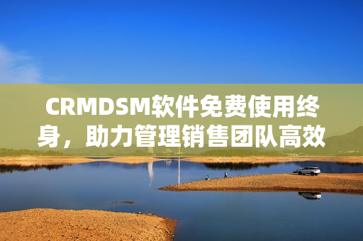 CRMDSM软件免费使用终身，助力管理销售团队高效运营