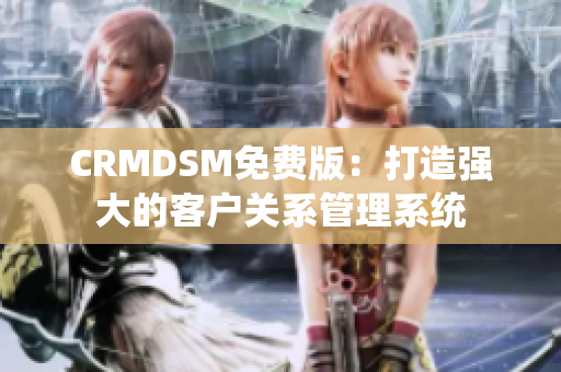 CRMDSM免费版：打造强大的客户关系管理系统