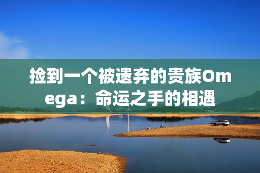 捡到一个被遗弃的贵族Omega：命运之手的相遇