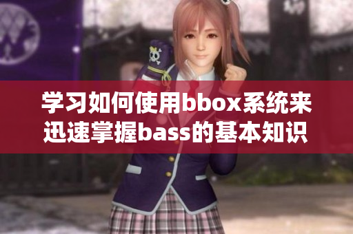 学习如何使用bbox系统来迅速掌握bass的基本知识