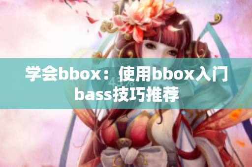 学会bbox：使用bbox入门bass技巧推荐