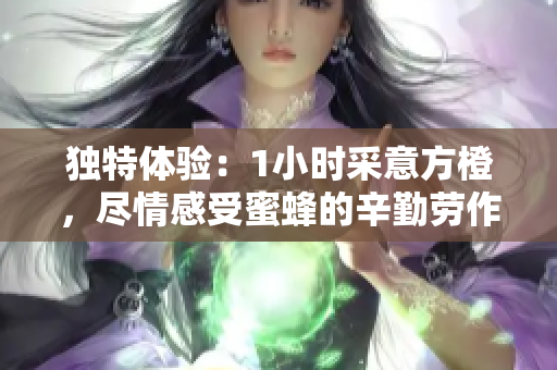 独特体验：1小时采意方橙，尽情感受蜜蜂的辛勤劳作